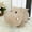 Grey, variant on SIfdSeng Toys for Toddlers Hippo Stuffed Animals Hippos Soft Mother Little Hippopotamus Toy Set Cute Grey Standing Plush Hippo for Teens Adults Baby Shower Decorations Christmas Toys Bulk for Kids
