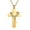 Gold Color, variant on Unisex 14K White Gold Cremation Double Cross Pendant Necklace for Ashes Memorial Keepsake Jewelry Gift