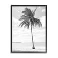thumbnail image 5 of Stupell Industries Single Palm Tree Monochrome Tropical Beach Plant Photograph Black Framed Art Print Wall Art, Design by Graffitee Studios, 5 of 5