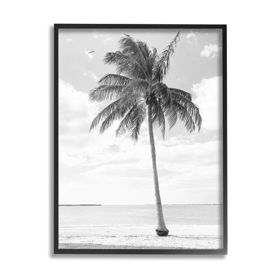 Stupell Industries Single Palm Tree Monochrome Tropical Beach Plant Photograph Black Framed Art Print Wall Art, Design by Graffitee Studios