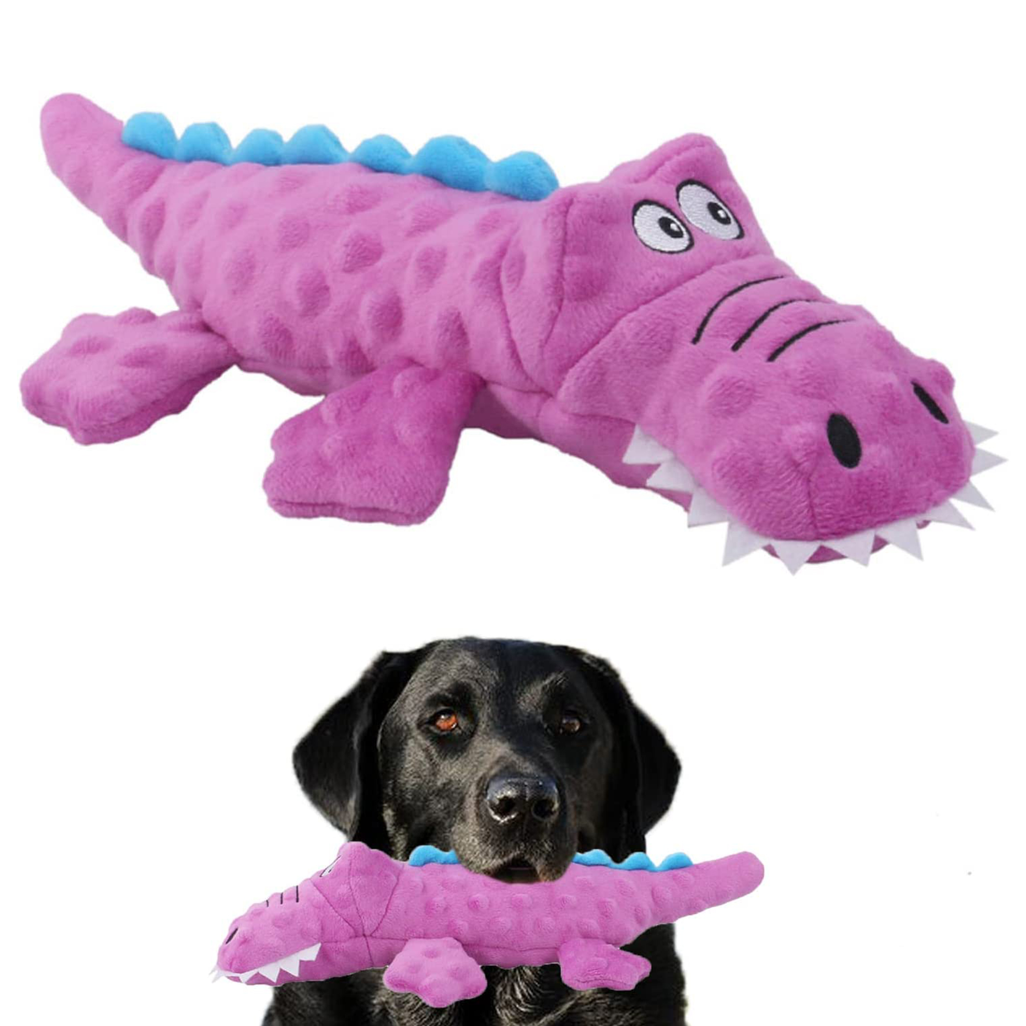 RSRZRCJ Dog Toys, Puppy Dog Teething Chew Toys with Sound Paper and