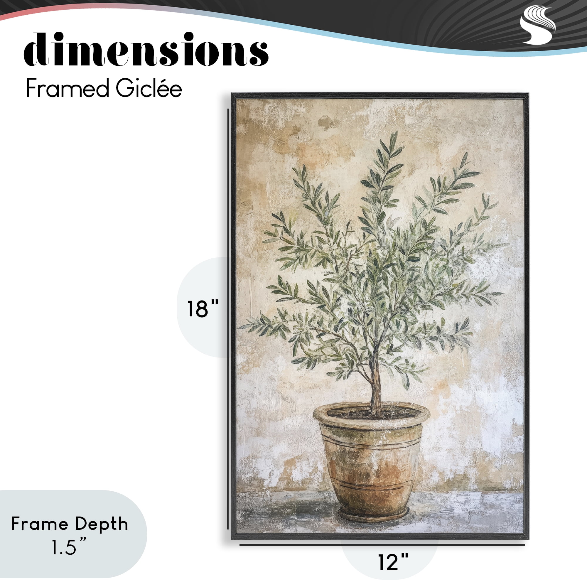 Stupell Industries Mediterranean Potted Olive Black Framed Giclee Art, design by Petal Prints Design