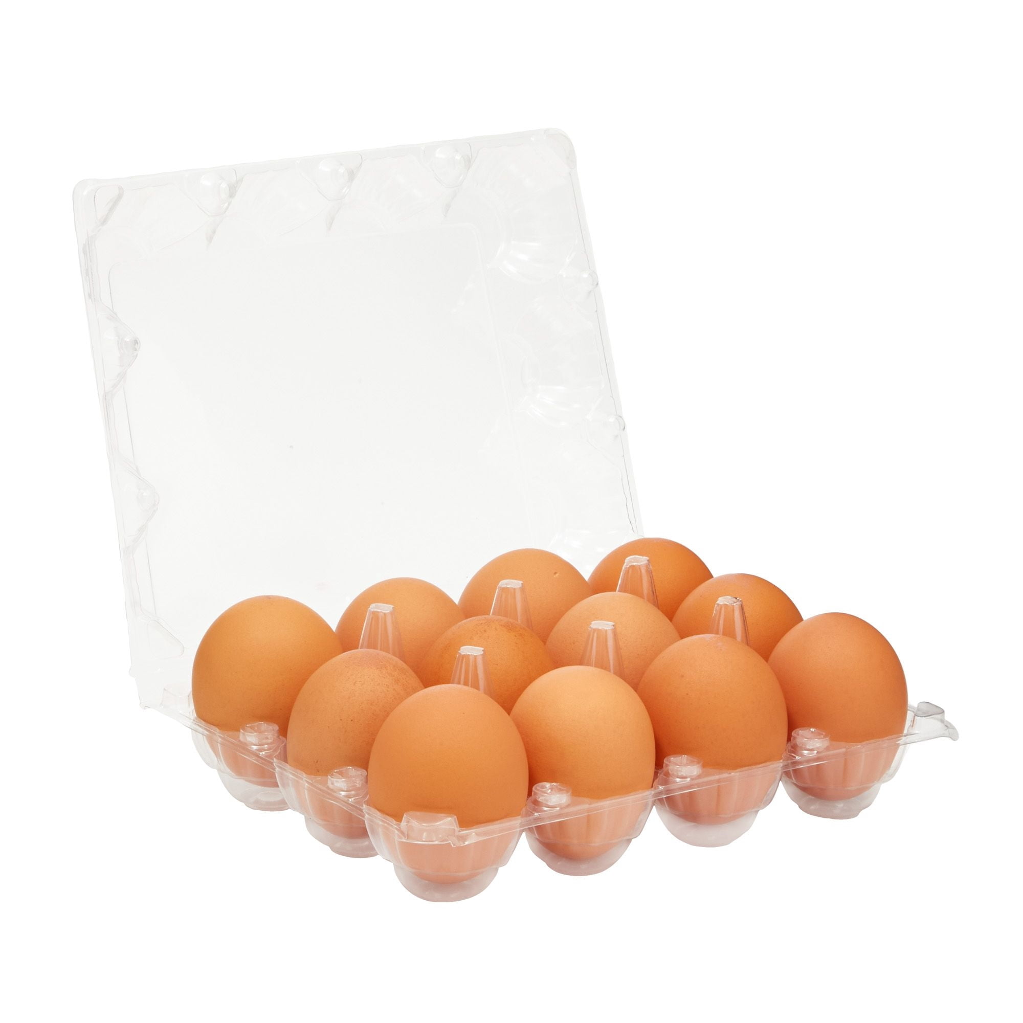 48-Pack Plastic Egg Cartons, Holds 1 Dozen with Date Labels Included, Bulk Pack of Reusable Egg Cartons for Chicken Eggs, Home Ranch, Farm, Commercial Use, Market Display