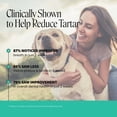 thumbnail image 3 of Fresh Breath Dental Powder for Dogs (30 servings), 3 of 10