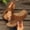 Brown, variant on Women's Floral Open Toe Wedge Flip Flops, Wide Width Comfort Casual Summer Beach Outdoor Vacation Slippers Gold 41