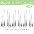 thumbnail image 5 of Glasseam Glass Bud Vases in Bulk 9.64"Tall Clear Skinny Vases Set of 6 Small Single Flower Vase for Centerpiece, 5 of 8