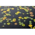 thumbnail image 2 of Wild, Jamie and Judy 32x22 Gold Ornate Wood Framed with Double Matting Museum Art Print Titled - WA-Phantom Lake-Lilly Pads, 2 of 4