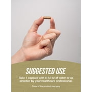 BulkSupplements Cordyceps Extract Capsules - Cordyceps Mushroom Supplement, 1 Capsule per Serving (2000mg Equivalent), 240 Count