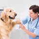 thumbnail image 3 of Cortaúñas para perros con lima y peine - Peluquería canina de calidad de salón con sistema de seguridad, 3 of 5