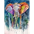 thumbnail image 2 of Kovacs, Anna Brigite 15x18 Black Ornate Wood Framed with Double Matting Museum Art Print Titled - Colorful Elephant, 2 of 4