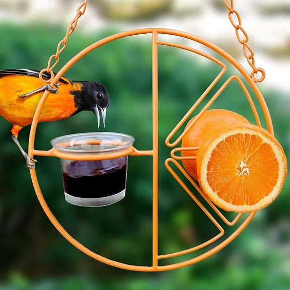 Oriole Bird Feeder for Outdoors Jelly and Oranges - 2 in 1 Hanging Clementine Hummingbird Oriole Feeder - Outdoor Garden Metal Hanger Drinking Grape Jelly Container Hummingbird Feeder