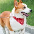 thumbnail image 3 of Redempat Stylish For Comfortable Wear Dog Bandana Multiple Sizes Available Dog Bandanas red M 1Set, 3 of 6