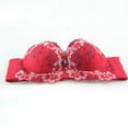 thumbnail image 2 of Fashion Embroidery Floral Bras Sexy Padded Push Up Bralette, 2 of 5