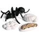 thumbnail image 1 of Modelo de simulación de animales para niños, Mini Animal, gallo, hormiga, Rana, Tortuga, Mosquito, ciclo de crecimiento, muñecos de acción de PVC, juguete para niños, 1 of 5