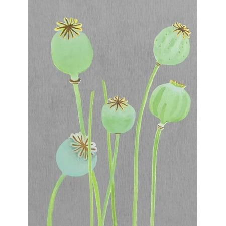 Poppy Pods on Grey Poster Print by India and (Best Place To Order Poppy Pods)