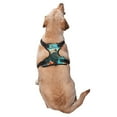 thumbnail image 2 of Naloa Underwater Swimming Guinea Pig Pet Harness Vest with Traction Rope, Adjustable No-Choke Dog Vest for Outdoor, Walking - Medium, 2 of 4