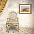 thumbnail image 3 of Friel, Bernard 18x13 Gold Ornate Wood Framed with Double Matting Museum Art Print Titled - USA-Arizona-Vermilion Cliffs National Monument White Pocket, 3 of 4