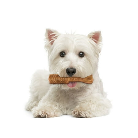 Natural Dental Chews - Nylabone Nutri Dent Natural Dental Chew Treats, Filet Mignon, Small, 50 Count