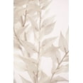 thumbnail image 2 of 1x Studio III 11x14 White Modern Wood Framed Museum Art Print Titled - Dried Straws_3, 2 of 4