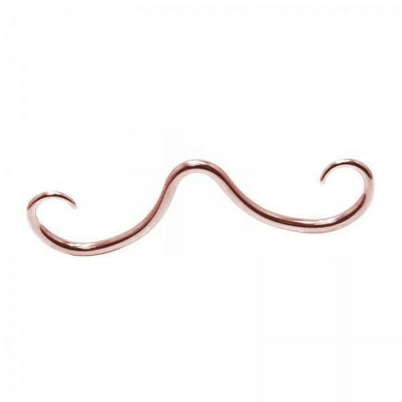 Anillo de nariz,Anillo de nariz con bigote Anillo de tabique con bigote Único,Joyas para piercing en la nariz,joyas para hombres y mujeres,regalo,Anillo de nariz con bigote y tabique de moda