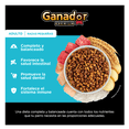 thumbnail image 5 of Croquetas Para Perro Ganador Premium Adulto Razas Pequeñas 20 Kg, 5 of 5