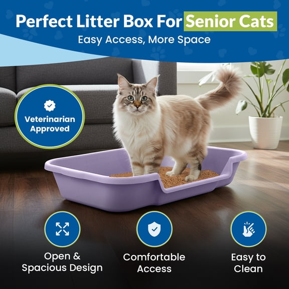Kitty Go Here Senior Cat Litter Box for Cats Who Can't Cope With A Traditional Litter Box Lavender