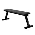 thumbnail image 1 of Centr Power Series FWB1 Flat Weight Bench, 1 of 1
