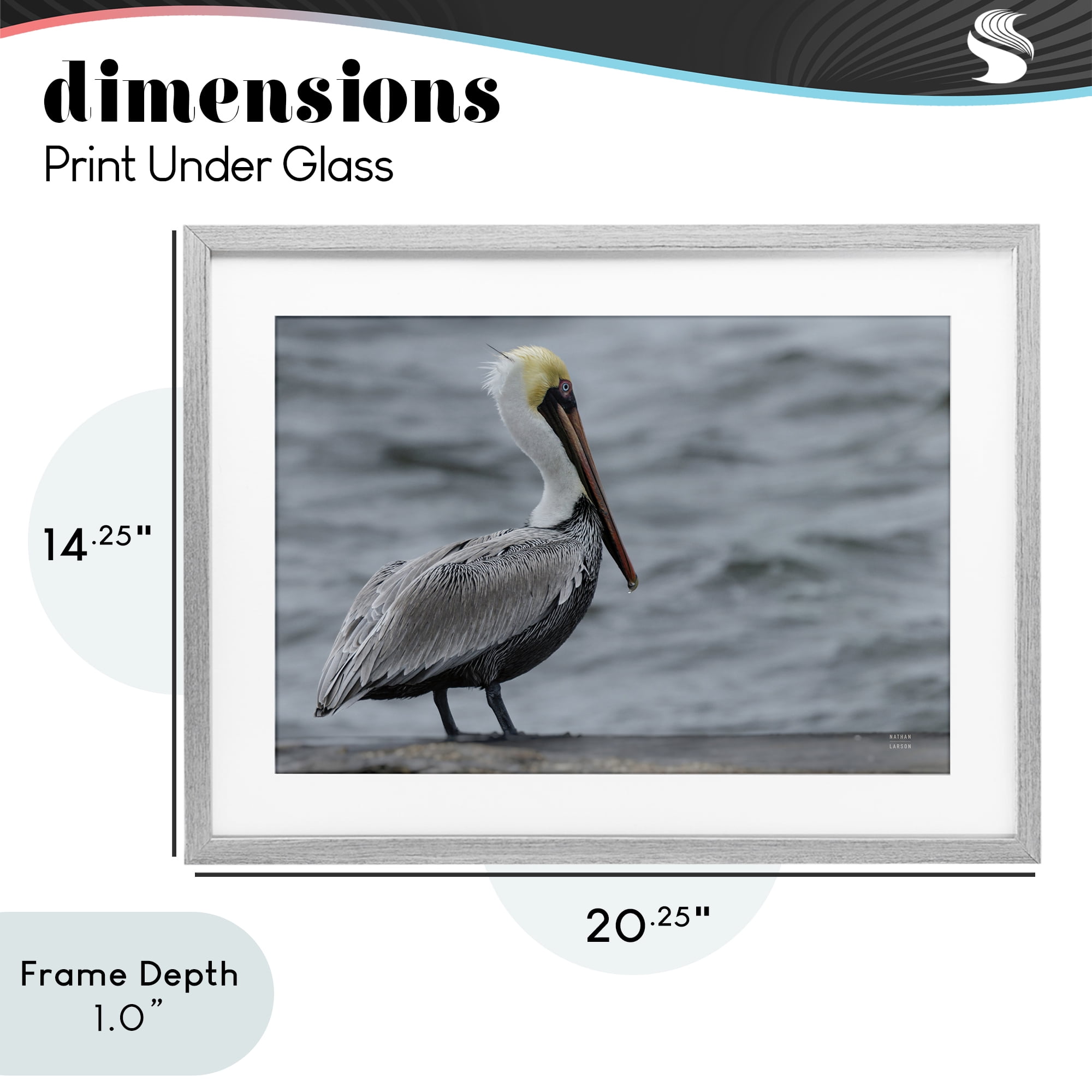 Stupell Industries Pelican Watch Photography Gray Framed Print Under Glass, design by Nathan Larson