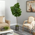 thumbnail image 4 of Nearly Natural 74in. Fiddle leaf Fig Artificial Tree in Ribbed Metal Planter, 4 of 4