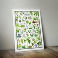 thumbnail image 4 of New York Wildflowers Poster - Native Woodland Blooms - Educational Science Chart of New York Flowers, 4 of 5