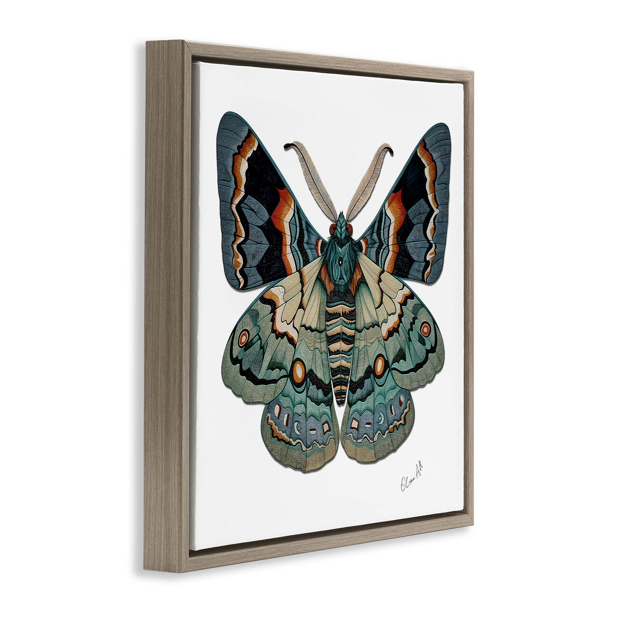 Stupell Industries Symbol Of Change Moth Animals Painting Brown Floater Framed Canvas Art Print Wall Art, 25 x 25