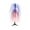 D, variant on Nkmbld 4th of July Table Decorations Patriotic Eagle Figurine Tiered Tray Decor for 250th Anniversary Tabletop Centerpieces Home Kitchen Office Desk Shelf