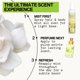 thumbnail image 3 of Pacifica Beauty Perfumed Hair &amp; Body Mist, Tahititan Gardenia, 6 Fluid Ounce, 3 of 11