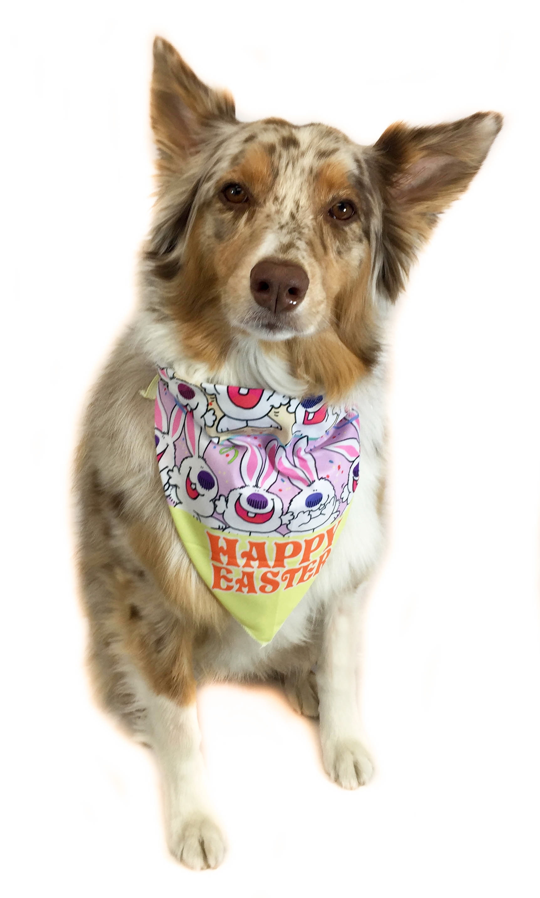 walmart dog bandanas