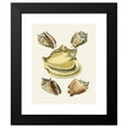 thumbnail image 2 of Heinrich Carl Küster 12x14 Black Modern Framed Museum Art Print Titled - The Wing Snails (Strombea) Pl.06 (1845), 2 of 5