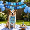 thumbnail image 6 of Dog Birthday Party Supplies, Multicolor Themed Set with Bandana, Hat, Bow & Banner, Adjustable Size Dog Birthday Decorations for Dogs-(C 1), 6 of 7