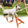 thumbnail image 6 of Adjustable Pet Vest Harness with Leash - Quick Release Buckle - Escape-Proof - Chest Harness Traction Rope, 6 of 8