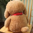 thumbnail image 6 of Surakey 10.2" Plush Dog Toys,Curly Haired Teddy for Kids Birthday Gift Beige, 6 of 10