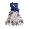 thumbnail image 4 of Little Girl Dresses Size 8 Years-9 Years Spring And Summer Mesh Dress Dress Sleeveless Vest Dresses Dress Girls Clothing, 4 of 8
