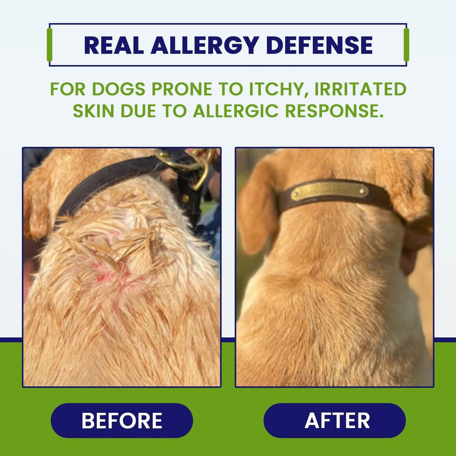 Allergy CZN™ Allergy Defense Soft Chews for Dogs 20 lbs and Up (120ct)