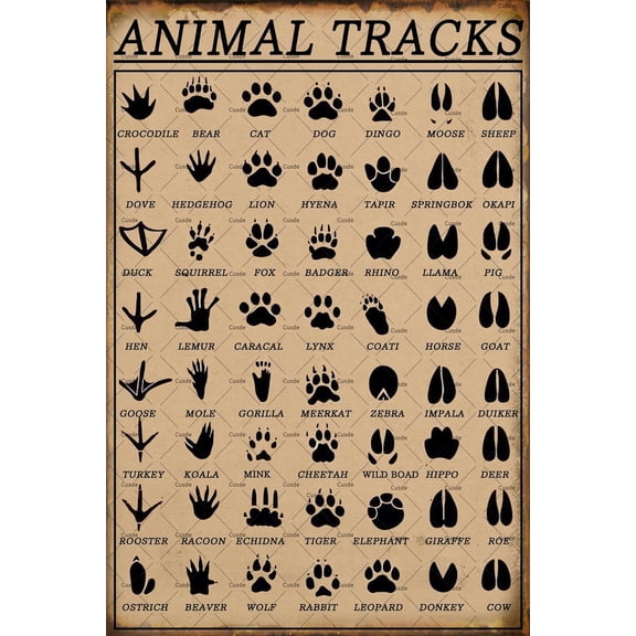 Metal Tin Animal Tracks Sign, 8 x 12 Inch Vintage Woodland Wall Art, Rustic Farmhouse Home Decor for Animal Lovers