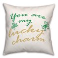 thumbnail image 2 of Creative Products Lucky Charm 18 x 18 Spun Poly Pillow, 2 of 3