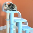 thumbnail image 4 of Aeromark B3803 Armarkat Classic Cat Tree 31 x 20 x 38 - Sky Blue, 4 of 6