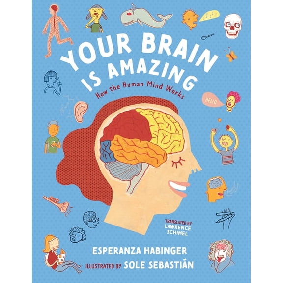 Your Brain Is Amazing: How the Human Mind Works, (Hardcover)