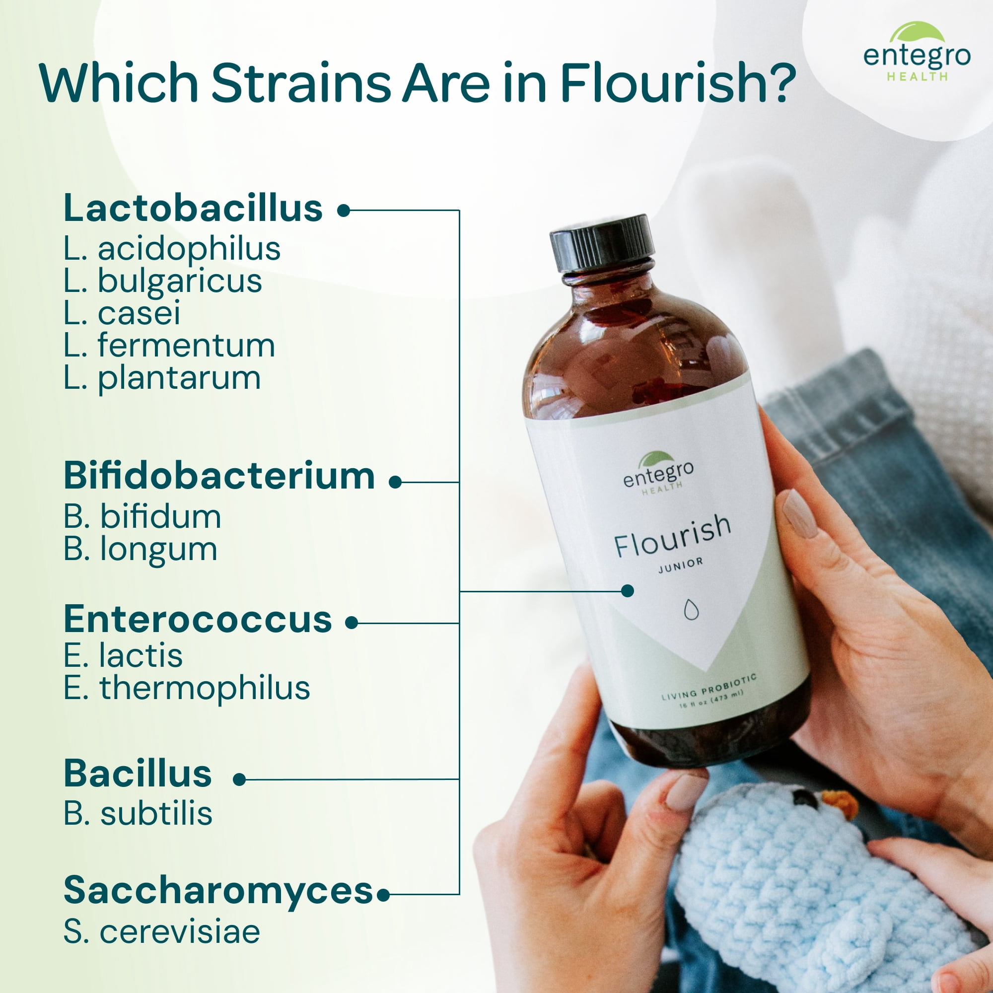 Entegro Health Flourish Junior Liquid Probiotic & Postbiotic Supplement for All Ages, 16 fl oz Glass Bottle