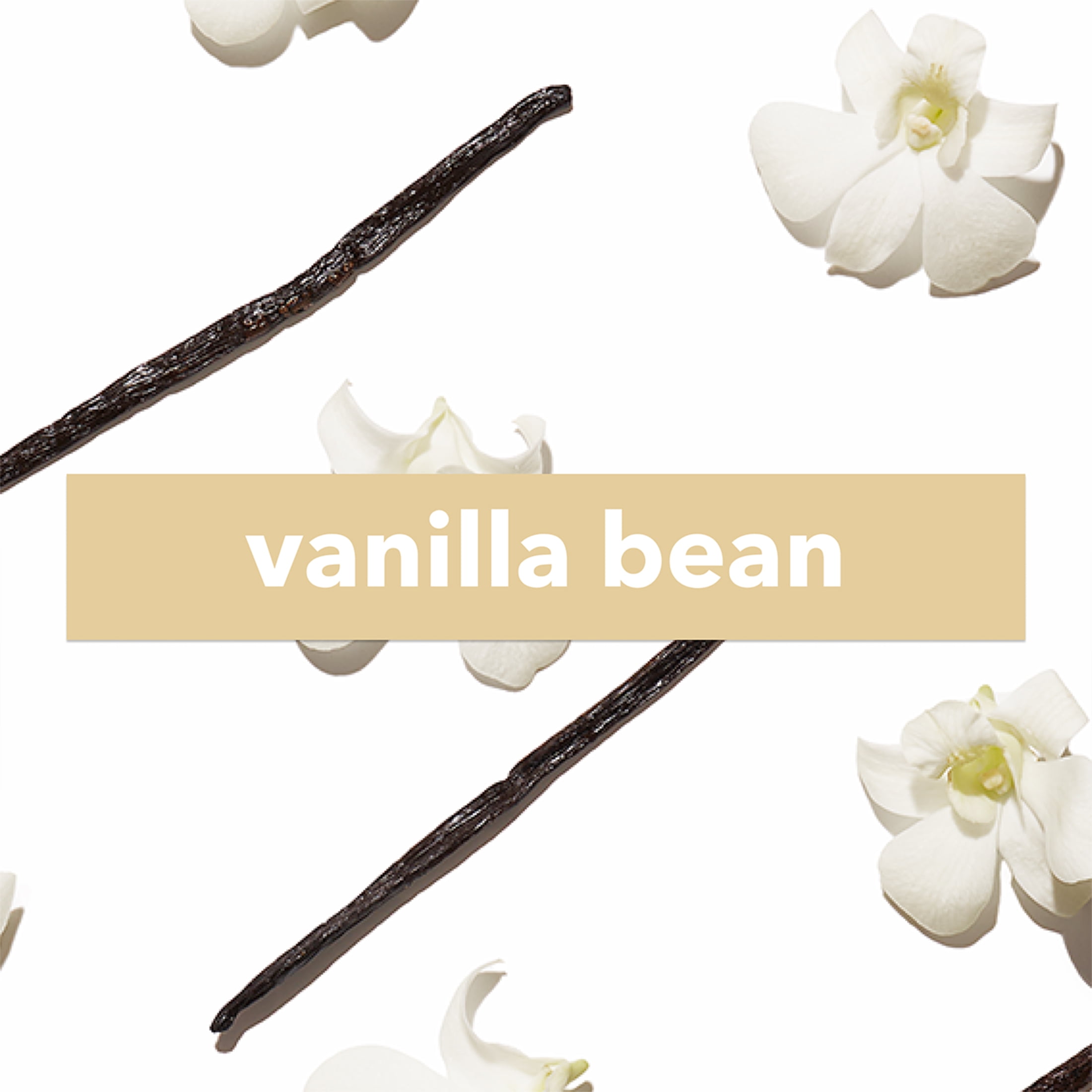 The Body Lab Fragrance Dose, Vanilla Bean, 0.2 fl. oz.