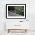 thumbnail image 2 of Untitled - Portland Oregon Photography Farm Rural Countryside Wildlife Animal Pastoral Garden Black Framed Wall Art Print 12 x 18 inches, 2 of 4