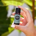 thumbnail image 2 of Edens Garden Frankincense CO2 Essential Oil- 100% Pure Premium Grade, Undiluted, Natural, Therapeutic, Aromatherapy, The Best for Diffuser, Skin, Hair, Humidifiers 30 ml (1 fl oz), 2 of 8