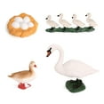 thumbnail image 1 of pitrice 1 Set Spade Worm Model Premium Plastic Material Meaningful Insect Figurines Early Educational Growing Models for School Project swan, 1 of 6
