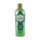 thumbnail image 1 of Shampoo Huichol de Sábila, 1 of 2
